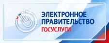 Государственные услуги. Электронное правительство